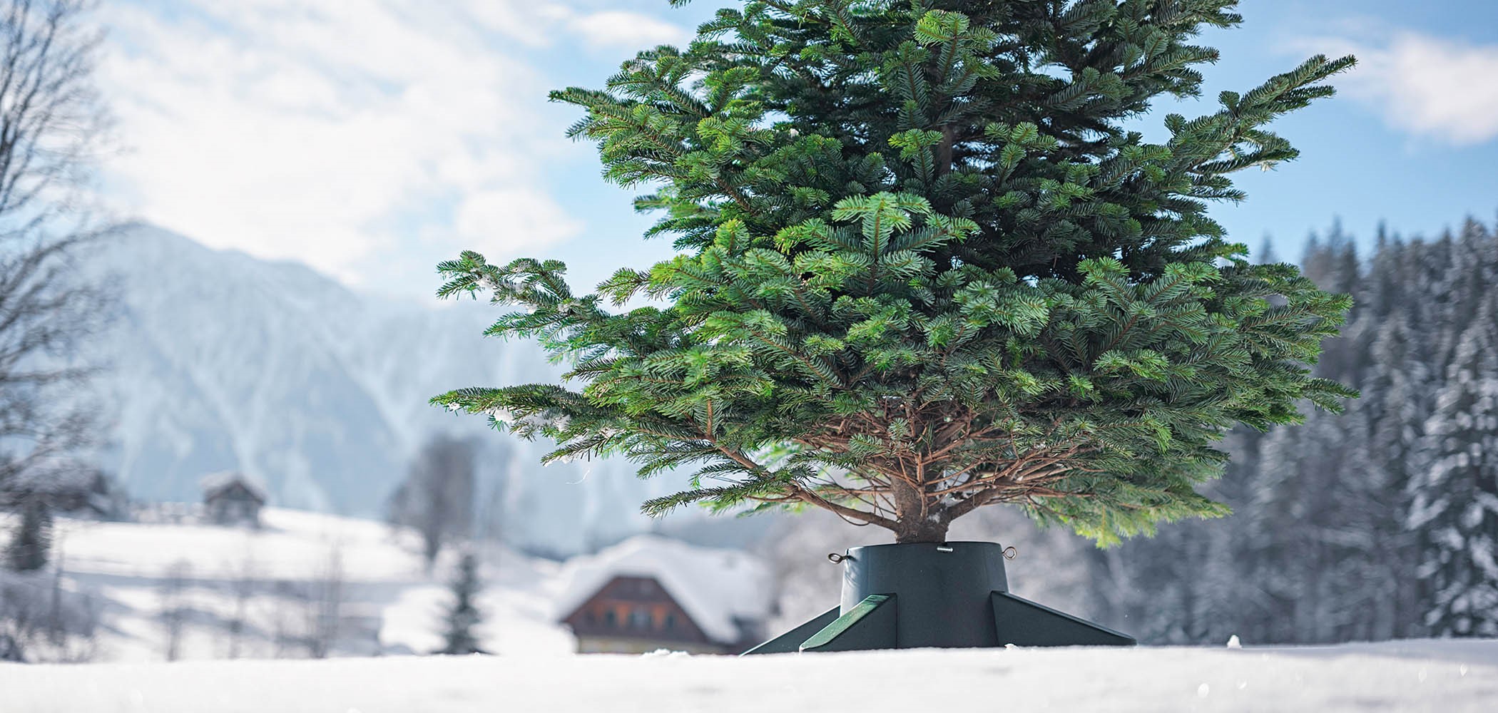 Essential Christmas Tree Stand