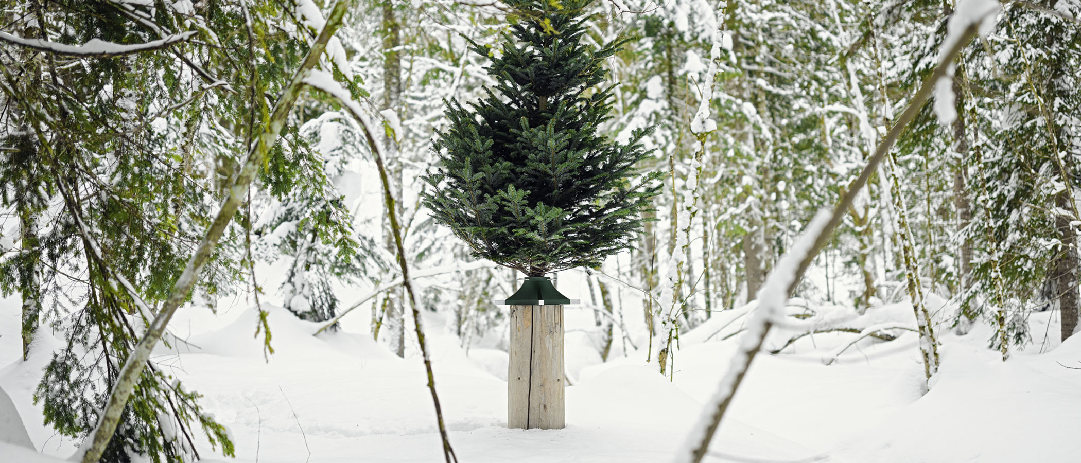 Square Christmas Tree stand
